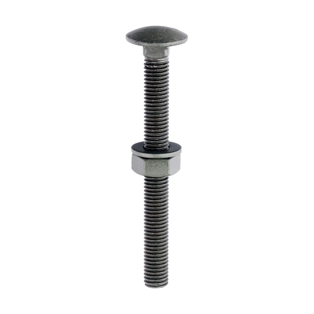 Timco Carriage Bolts Hex Nuts & Form A Washers - M10 x 100 - Dome - Exterior - Green - Bag of 10 - 10100INCB
