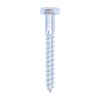 1080CSC_w1 Coach Screws - Hex - Zinc - 10.0 x 80