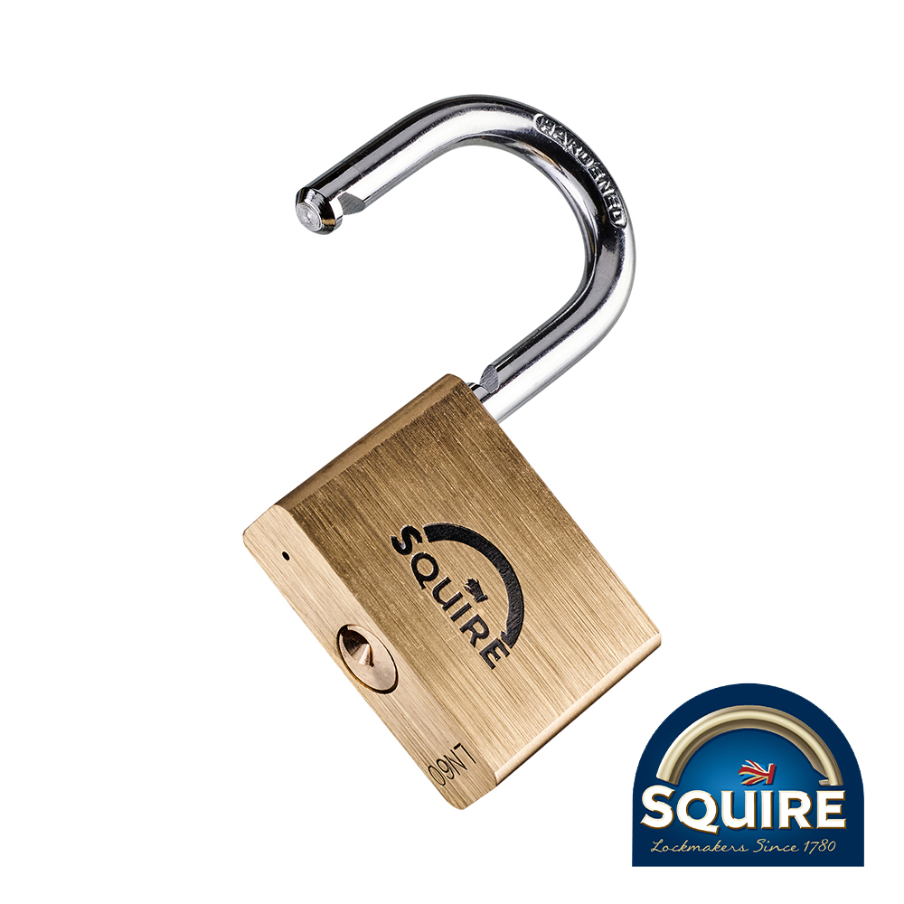 Shop Premium Brass Lion Padlock - LN60