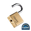 Shop Premium Brass Lion Padlock - Stainless Steel Shackle - LN3S