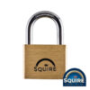 Squire Premium Brass Lion Padlock - Stainless Steel Shackle - LN5S