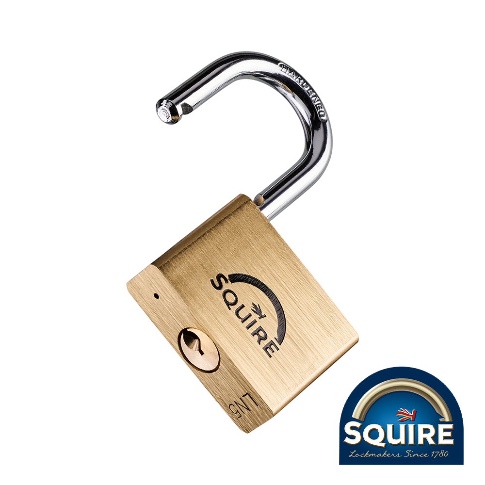 Shop Premium Brass Lion Padlock - LN5 50mm
