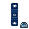 Security Bridge Wall Anchor - WA300