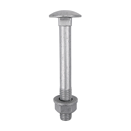 Shop Carriage Bolt, Washer & Nut - Exterior Silver