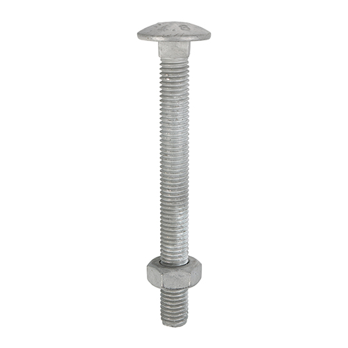 Shop Carriage Bolt & Nut - Hot Dipped Galvanised