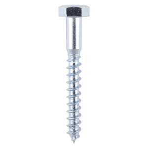 Shop Coach Screws