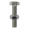 Shop Set Screw & Hex Nut - Stainless Steel