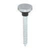 screws5C08112fcmirp_1.jpg