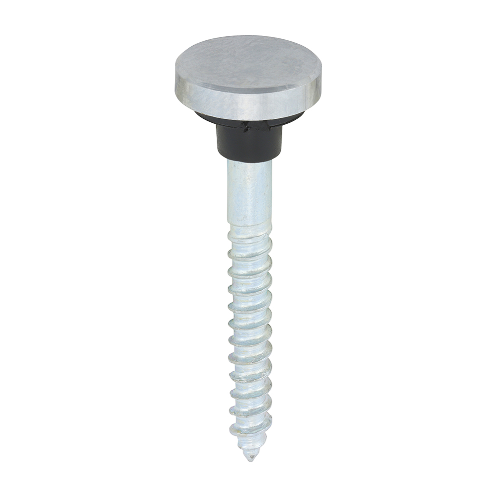 screws5C08112fcmirp_1.jpg