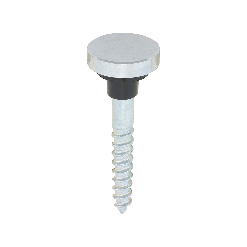 screws5C08114fcmirp_1.jpg