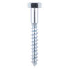 screws5Ccoach-screw_1.jpg Shop Coach Screws - Zinc
