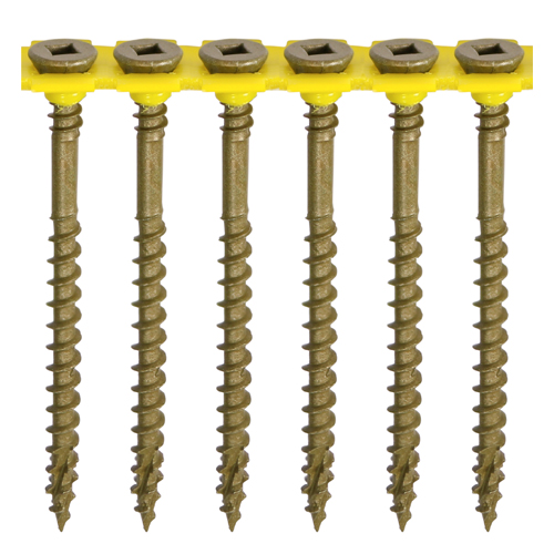 Shop Collated C2 Decking Screws