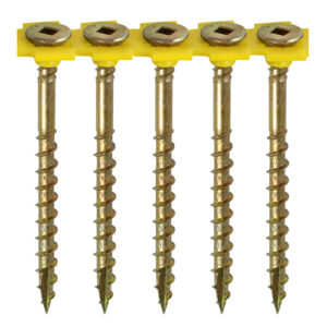 Shop Collated Flooring Screws