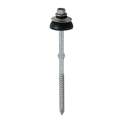 Shop Fibre Cement Board Screw - For Timber