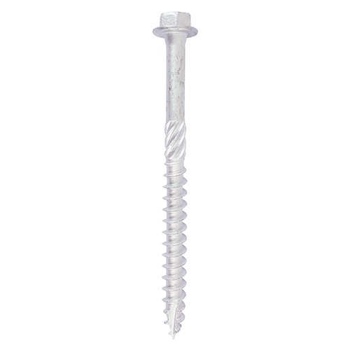 Shop Timber Screw - Hex - Exterior Silver
