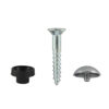 screws5Cmirror-screw-chrome-cmir_2.jpg
