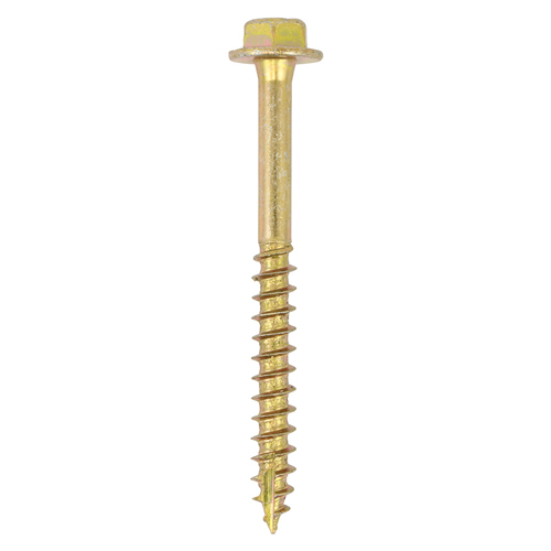 Shop Advanced Coach Screws