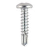 Shop Standard Profile Screws