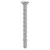 Shop Wing-Tip Screw - Light Section Steel - Exterior