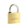 Shop Brass Padlock