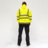 Hi-Visibility Sweatshirt with Hood - Yellow - Back