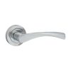 Shop Edleston Lever On Rose Handles